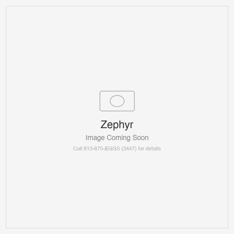 Zephyr Titan Wall 48" TruHue