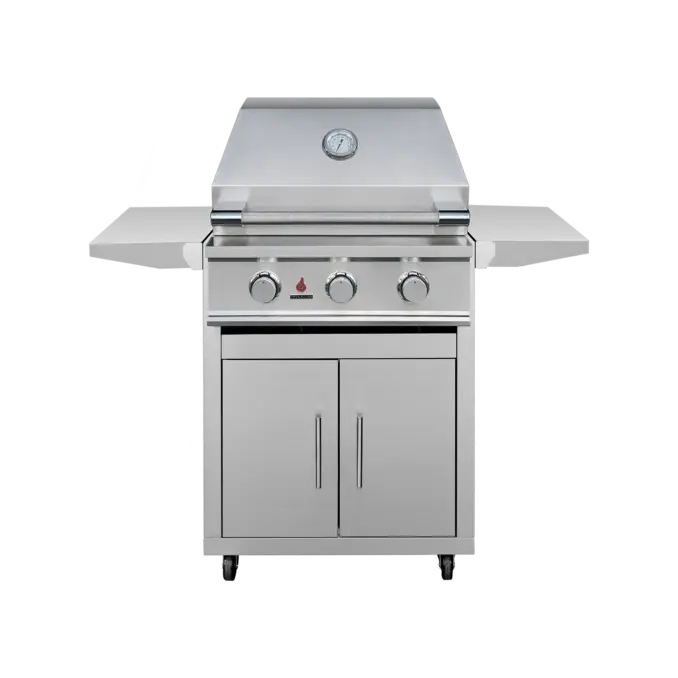 TrueFlame TFE25L