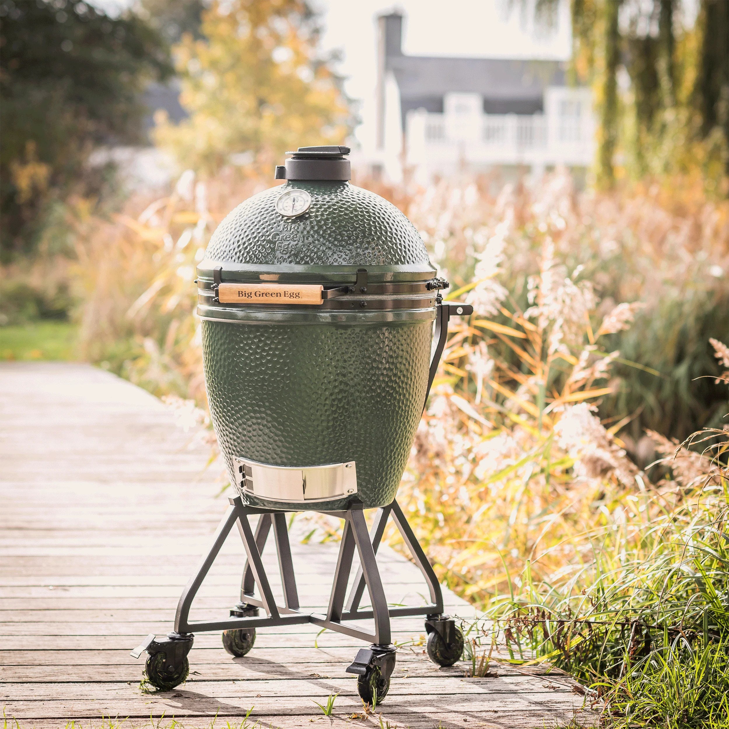 Big Green Egg Large Big Green Egg In An Integgrated Nest+Handler Package