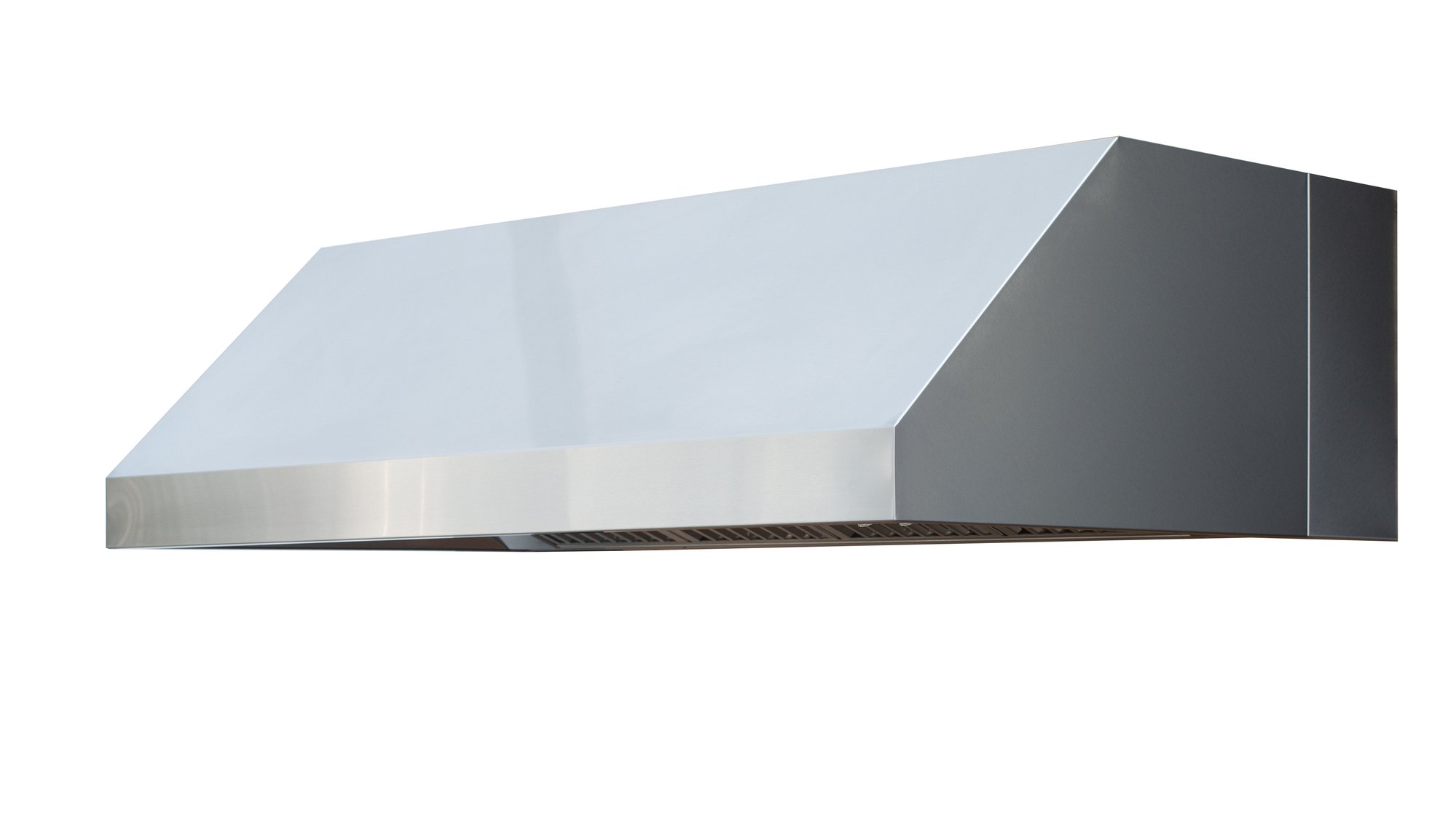 TrueFlame 60" Outdoor Vent Hood - 1200 CFM