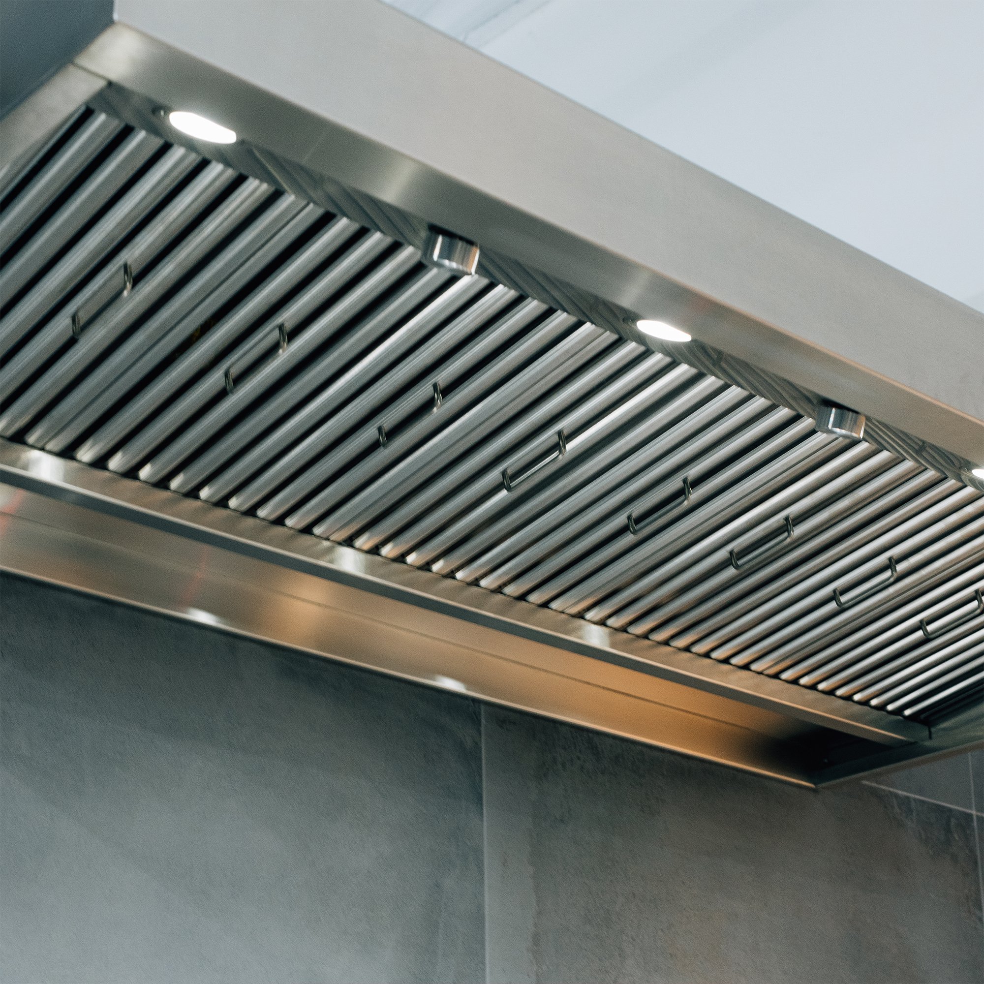 TrueFlame 48" Outdoor Vent Hood - 1200 CFM