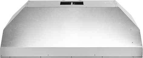 Coyote 42" Outdoor Chimney Hood