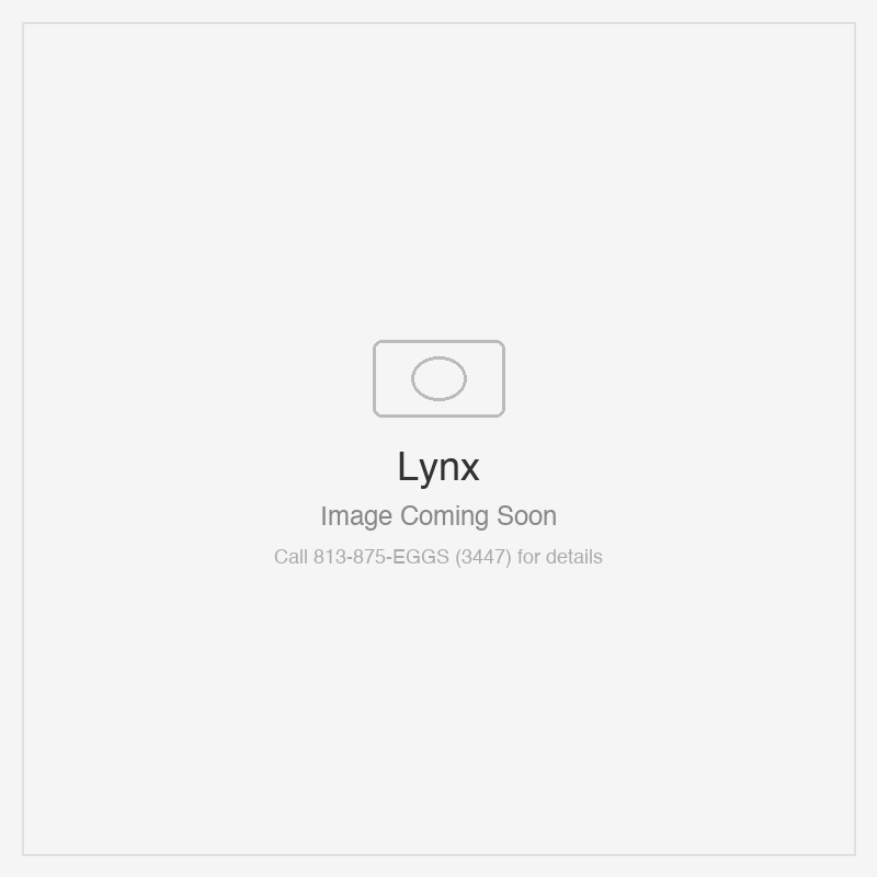 Lynx 36" Built In All Trident Grill w/ Flametrak and Rotisserie - Liquid Propane