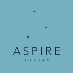 Hestan ASPIRE Conversion Kit LP