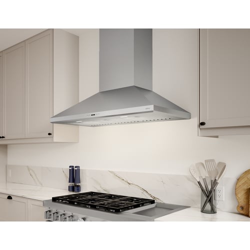 Zephyr Siena Pro Wall 42" SS LED ACT