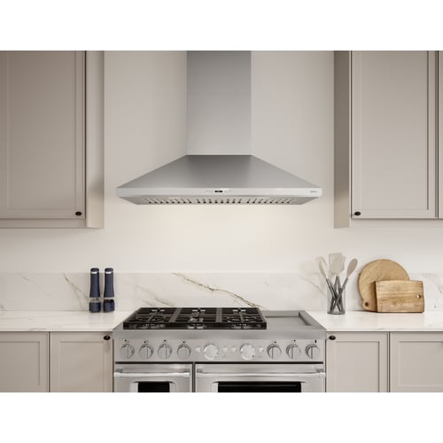 Zephyr Siena Pro Wall 42" SS LED ACT
